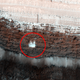 Illustration for article titled Mars Orbiter Spots a Huge Avalanche of Carbon Dioxide on the Red Planet